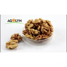 premium raw walnut kernel without shell